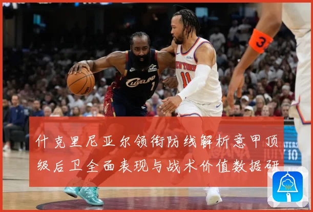 什克里尼亚尔领衔防线解析意甲顶级后卫全面表现与战术价值数据研判