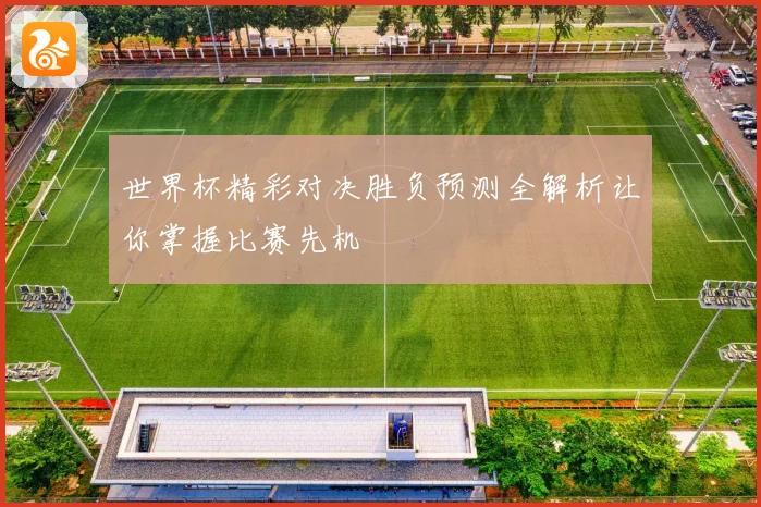 世界杯精彩对决胜负预测全解析让你掌握比赛先机