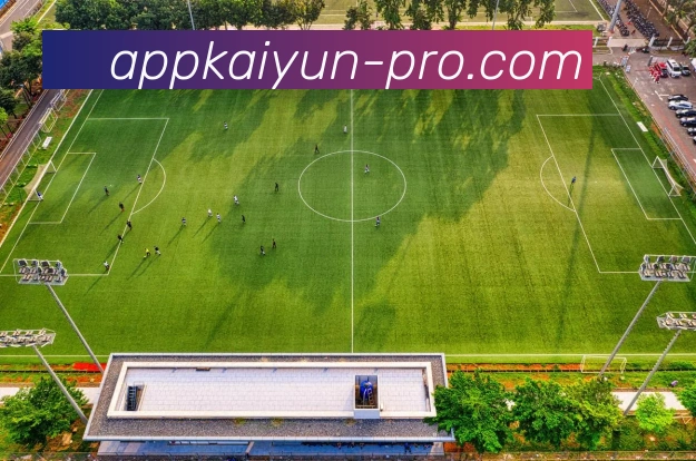 开云平台展示图